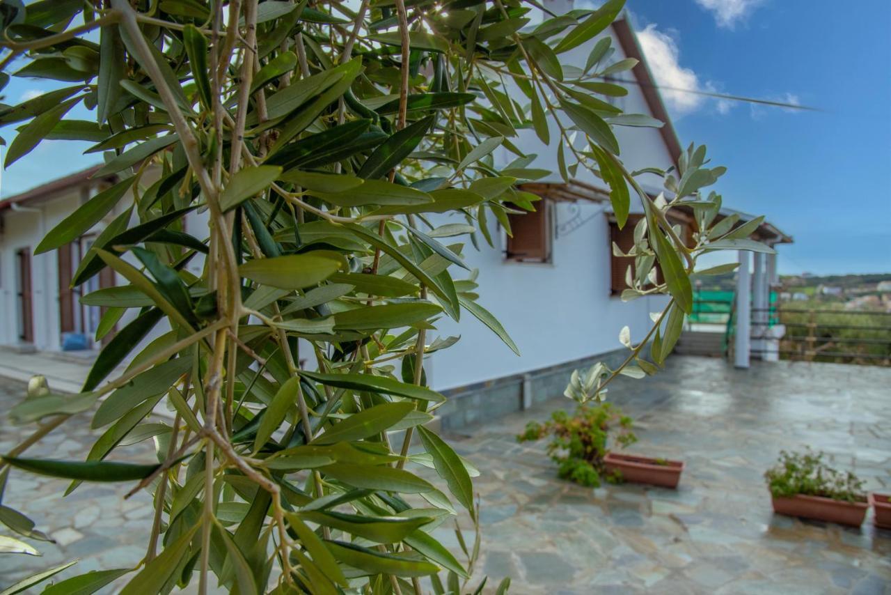 Eleonas Holiday Home Apartment Agios Stefanos Avliotes  Exterior foto
