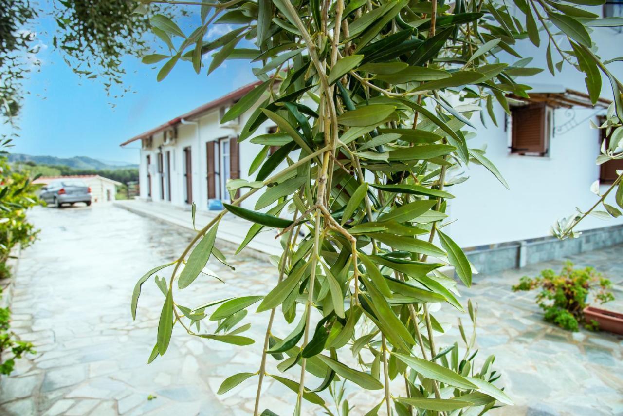 Eleonas Holiday Home Apartment Agios Stefanos Avliotes  Exterior foto